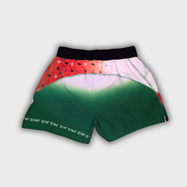 Short rugby Signature Le Basque rouge vert blanc vue arrière Terre de Rugby
